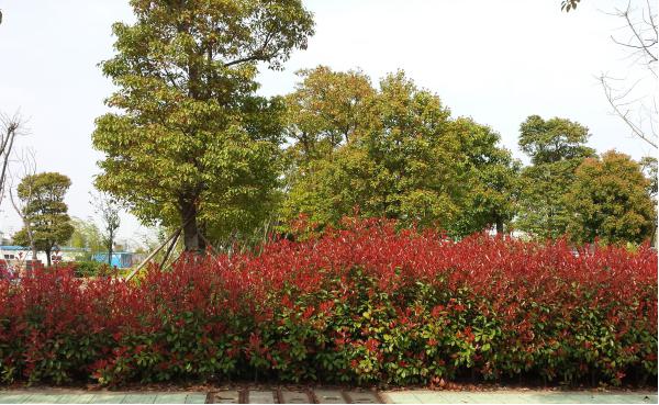 �������ݞ��^(q��)�����M���ϰ����d�� һ·һ�����ֽ����d�ȶ�·һ�d����·�����o�֎�����