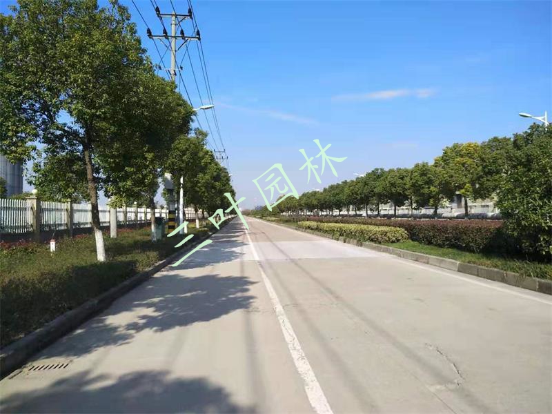 2019-2020��Ⱥ��ݞ����ݽ�(j��ng)��(j��)���g(sh��)�_�l(f��)�^(q��)�G���B(y��ng)�o(h��)�(xi��ng)Ŀ�����꣩���(bi��o)