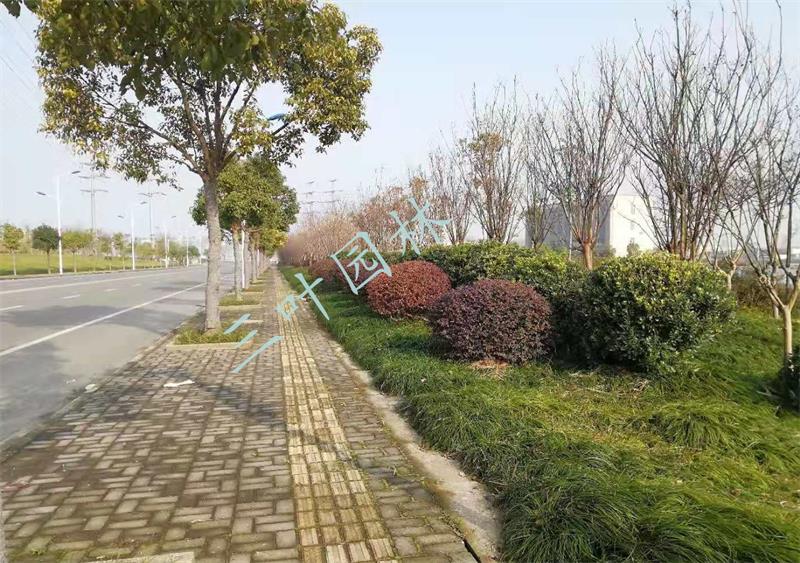 �۽��_�l(f��)�^(q��)��·�G���B(y��ng)�o(h��)����5��(bi��o)